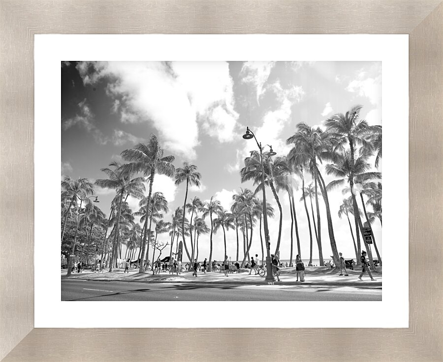 Hawaii Palms BW Picture Frame print