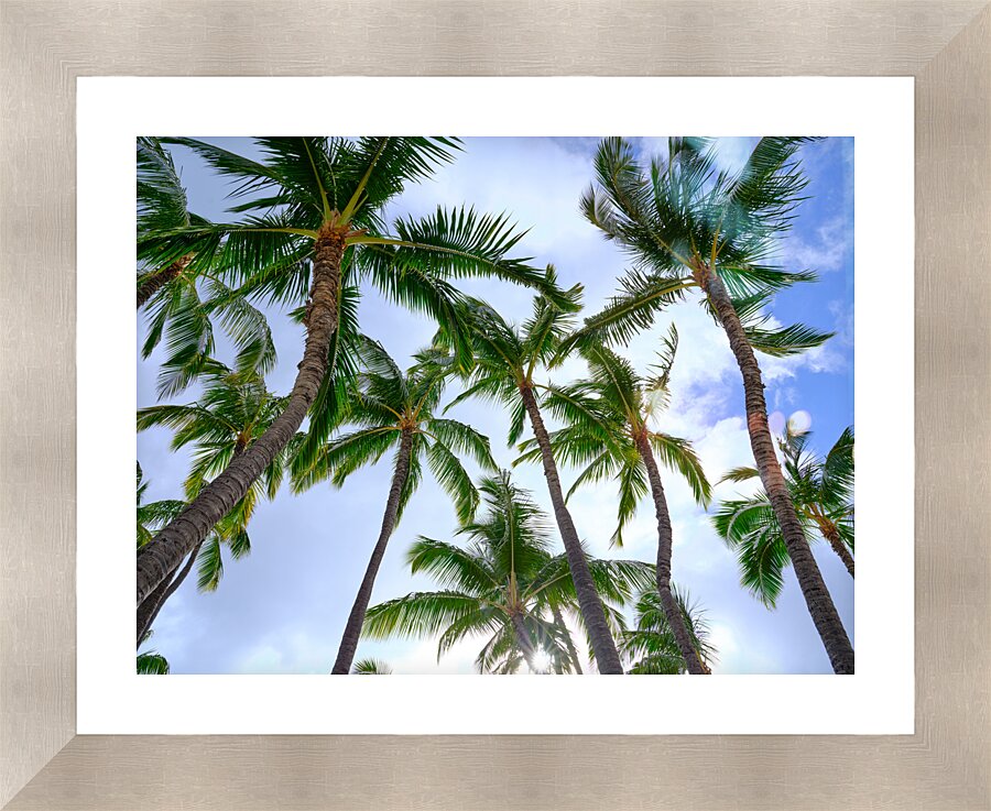 Hawaii Palms Sky Impression et Cadre photo