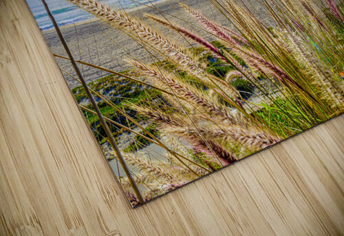 Sunrise Beach Kamara Studio   Ultra High Resolution Mural Prints puzzle