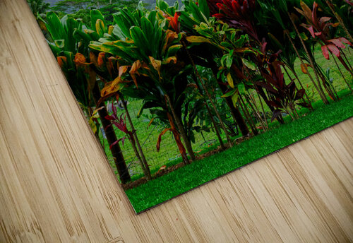 Hawaii Fog Kamara Studio   Ultra High Resolution Mural Prints puzzle