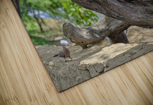 Hawaii Cardinal V Kamara Studio   Ultra High Resolution Mural Prints puzzle