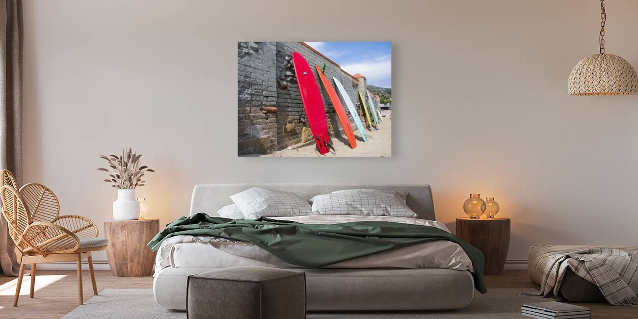 Surfboards Reproduction