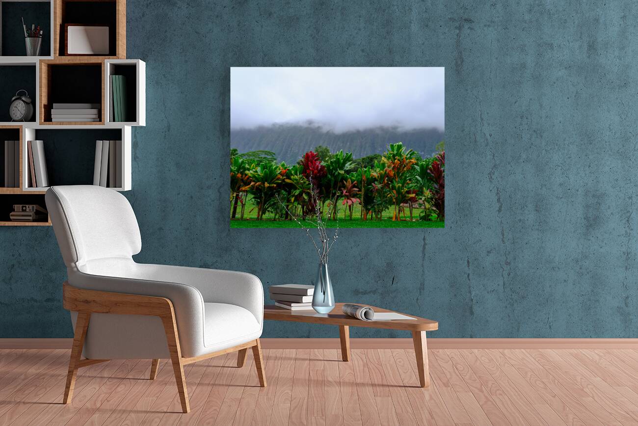 Hawaii Fog Reproduction