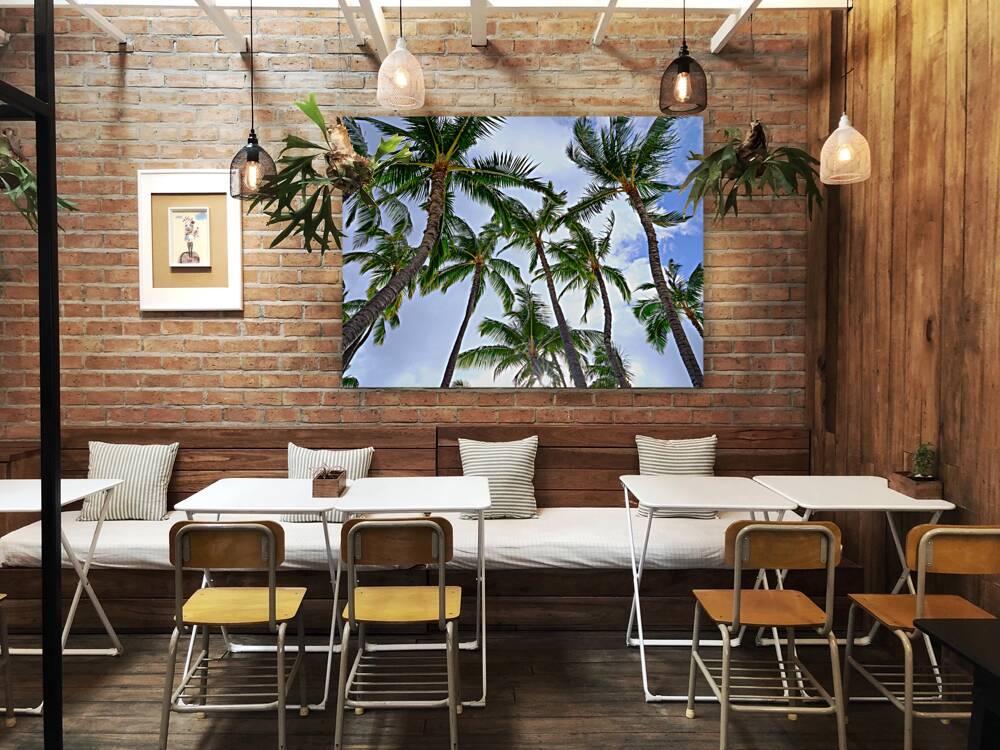 Hawaii Palms Sky Reproduction