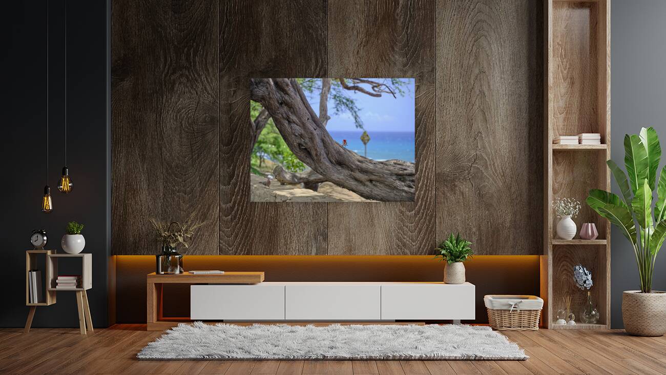 Hawaii Cardinal V Reproduction