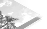 Hawaii Palms BW HD Metal print