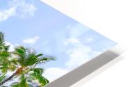 Hawaii Palms HD Metal print