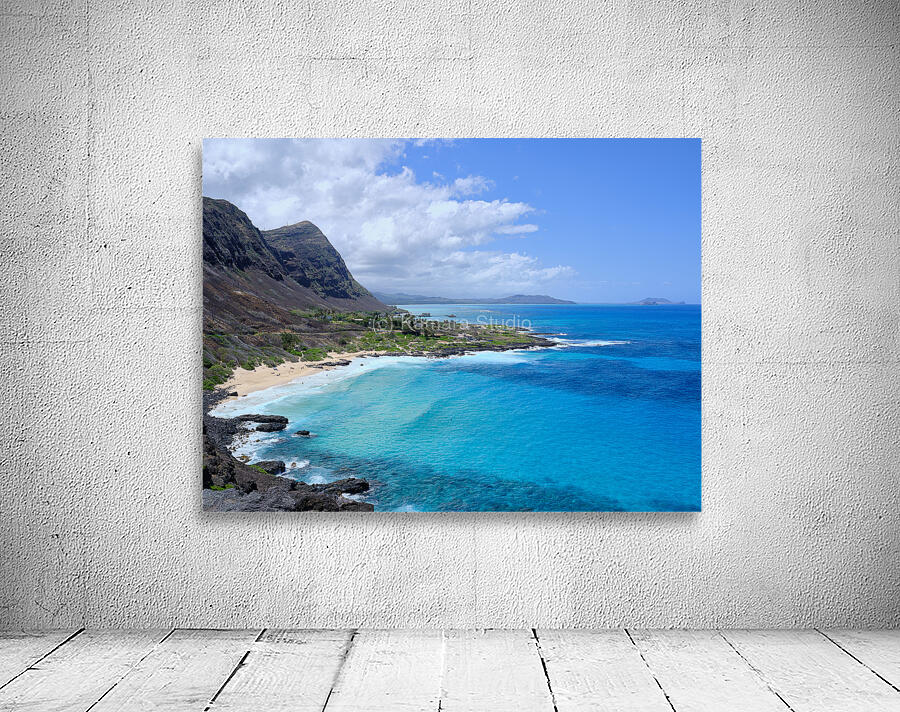 Hawaii Beach Wall Preview