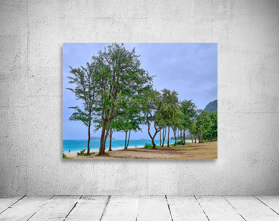 Hawaii Trees 3 Wall Preview