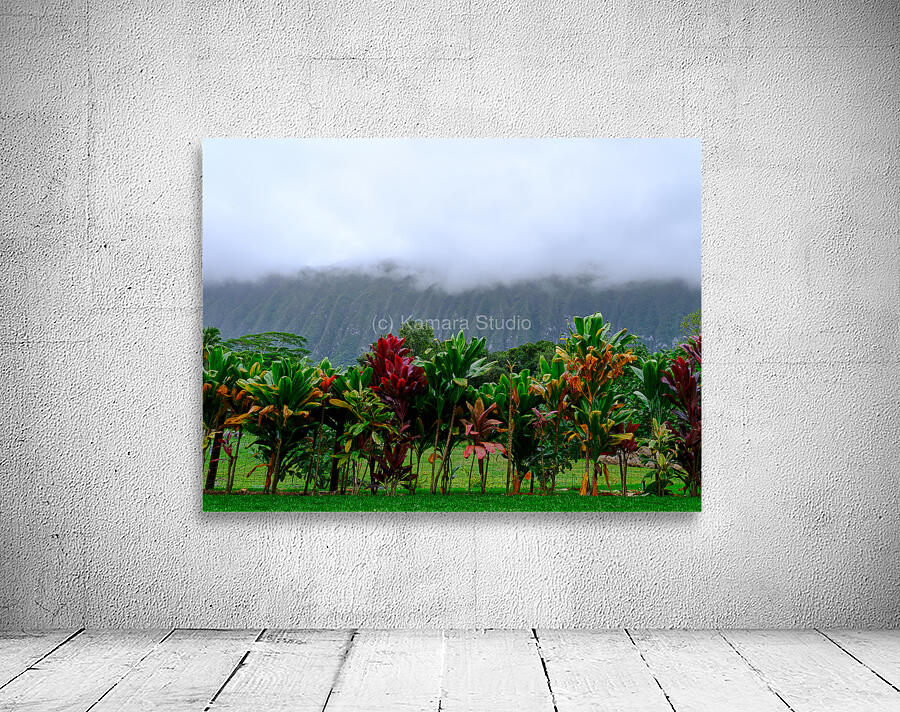 Hawaii Fog Wall Preview