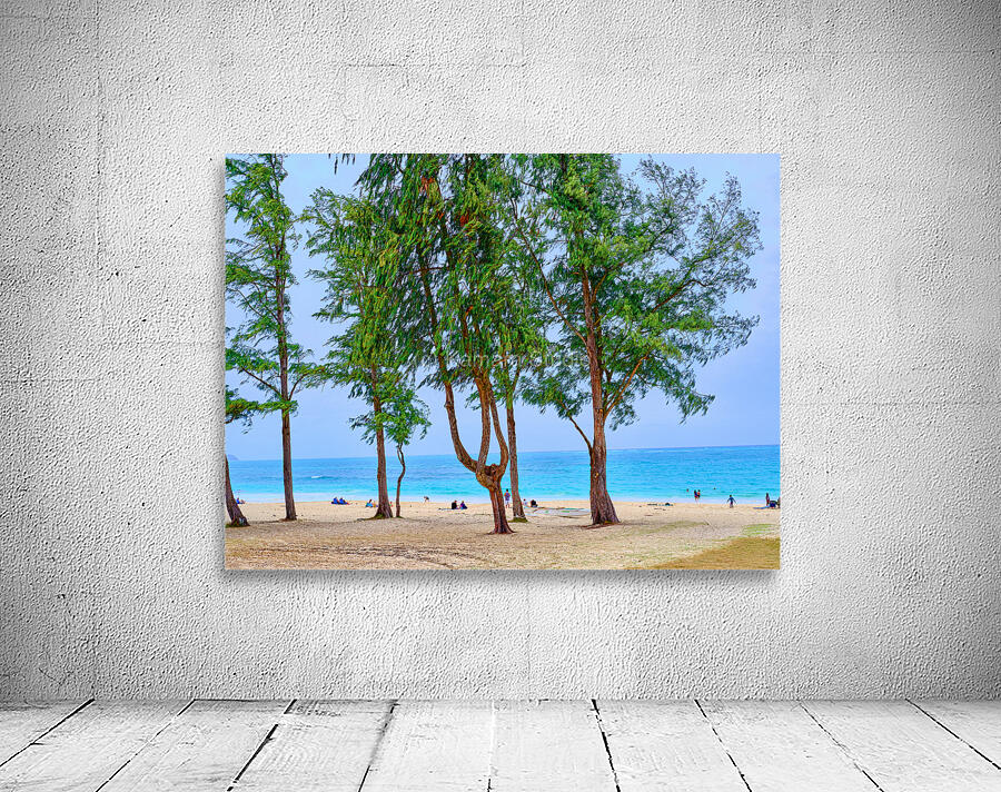 Hawaii Trees Wall Preview