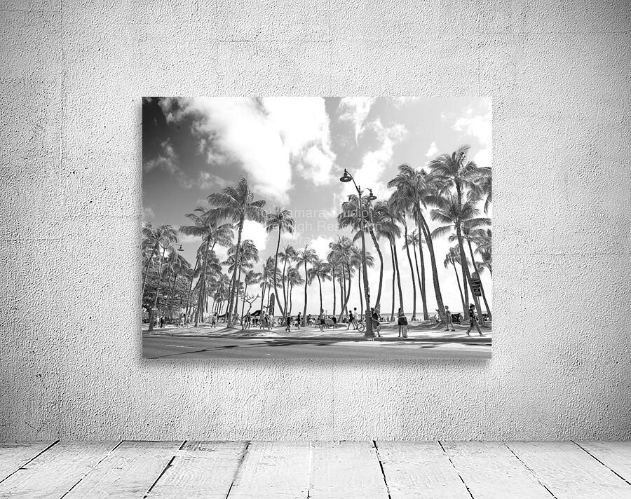 Hawaii Palms BW Wall Preview
