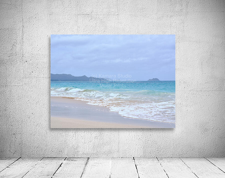 Hawaii Sand Beach Wall Preview