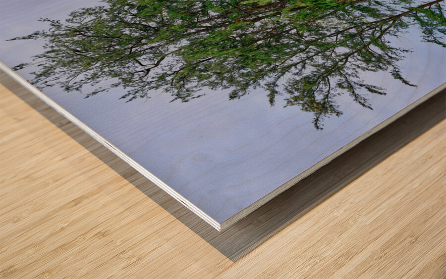 Hawaii Trees 3 Impression sur bois