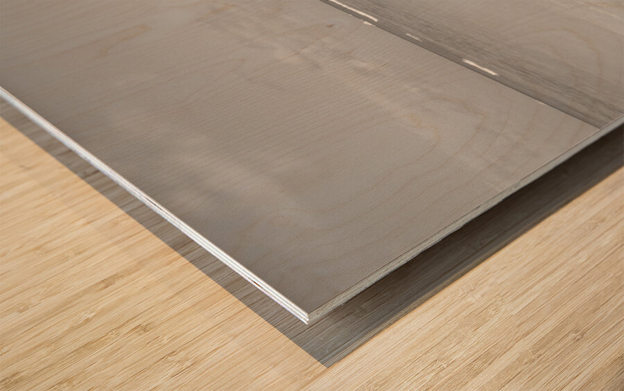 Hawaii Kids Impression sur bois