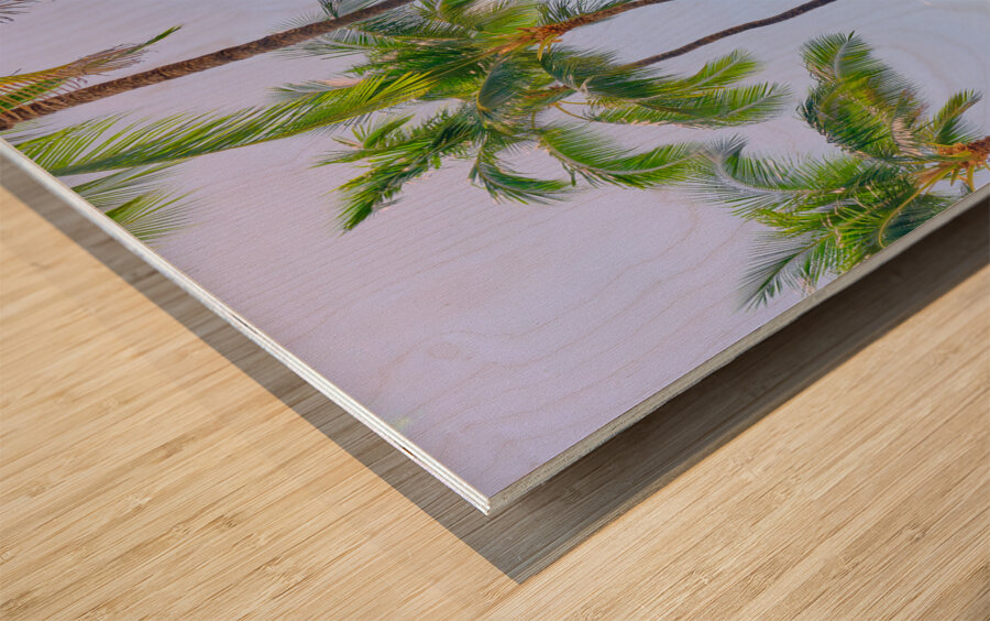 Hawaii Surf Wood print