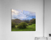 ashville 2 Acrylic Print