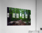 DC1 4446 2 Acrylic Print
