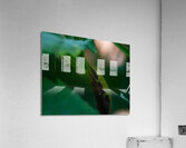  DSC8376 Enhanced Acrylic Print