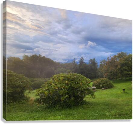 ashville 2 Canvas Print