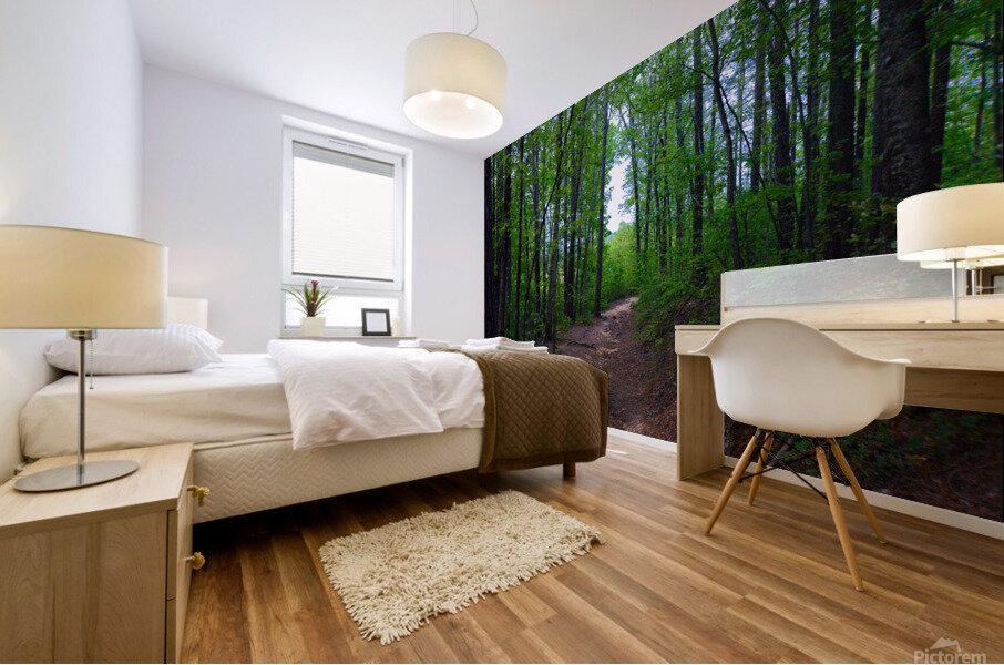 DC1 4446 2 Mural print