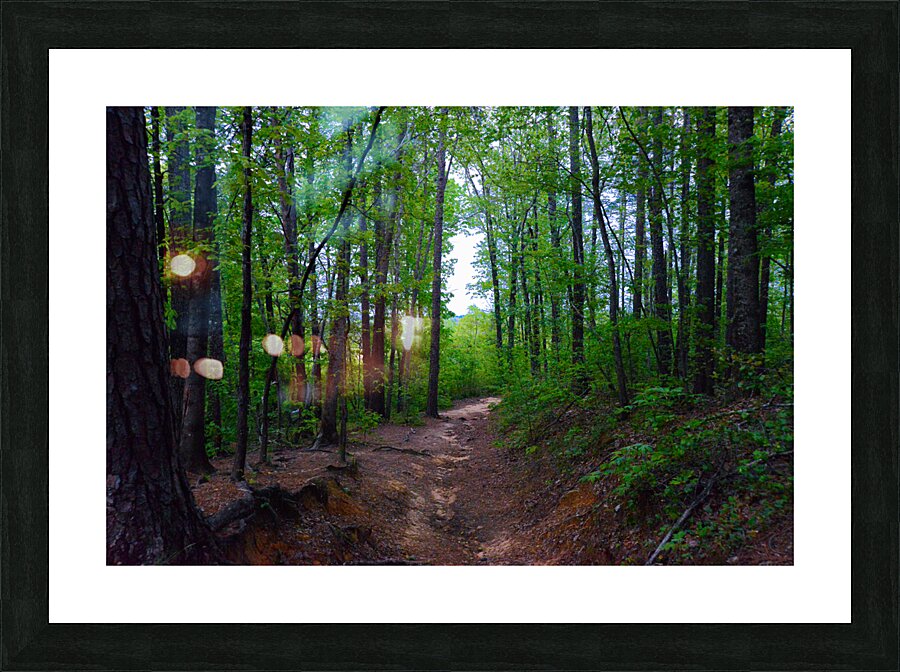 DC1 4446 2 Picture Frame print