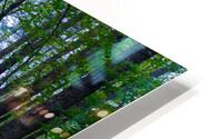 DC1 4446 2 HD Metal print