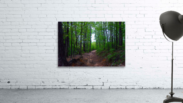 DC1 4446 2 Wall Preview