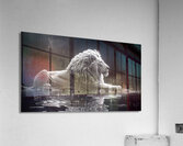 Majestic repose a lion in monochrome reflection Acrylic Print