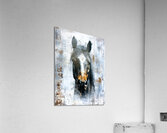 Equestrian Essence Acrylic Print