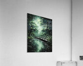 Tranquil Night Acrylic Print