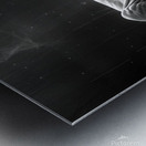 Majestic repose a lion in monochrome reflection Metal print