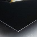 Golden Sails Metal print