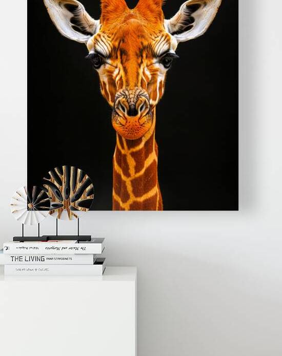 Giraffe portrait with black background by Digiart