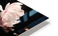 Bloom in the Dark HD Metal print