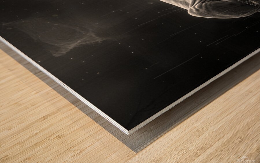 Majestic repose a lion in monochrome reflection Wood print