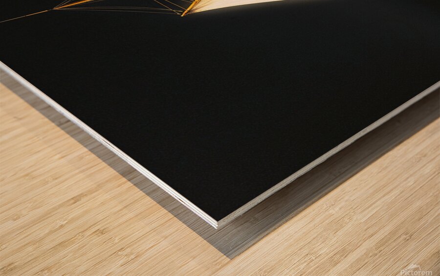 Golden Sails Wood print