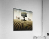 Pitchfork Acrylic Print