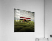 Bi-Plane Acrylic Print