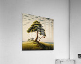 Tall Tree Acrylic Print