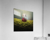 Decorated Acrylic Print