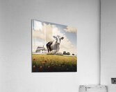 Moo Acrylic Print