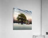 Winter Tree Acrylic Print