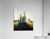 Grand Peacock Acrylic Print