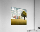 Clothesline Acrylic Print