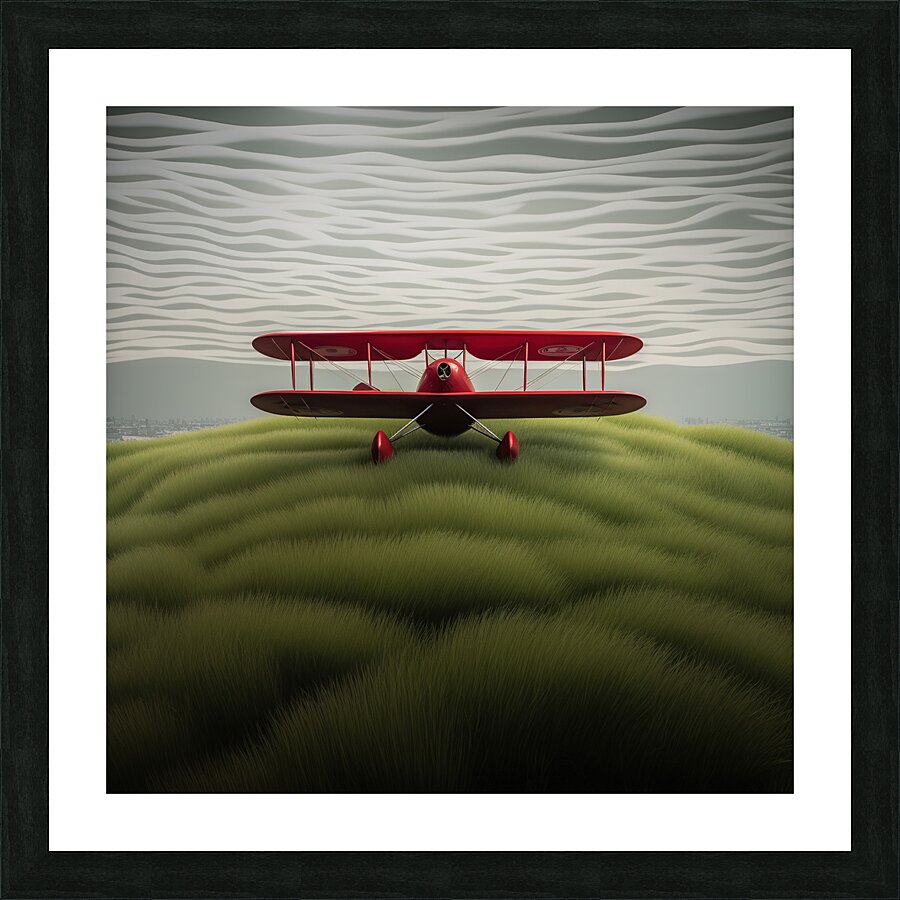 Bi-Plane Picture Frame print