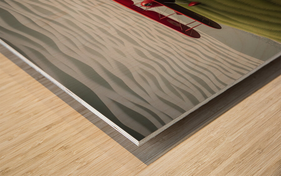 Bi-Plane Wood print