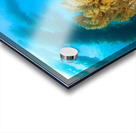 Ocean reef scenery Acrylic print