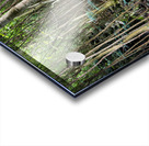 Thick rainforest Acrylic print