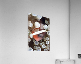 Clown Fish Acrylic Print